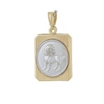 Ζώδιο & Κωνσταντινάτο